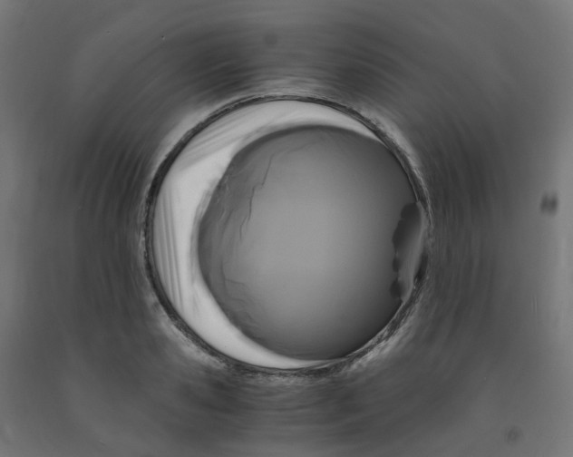 X0000091880941200710031738