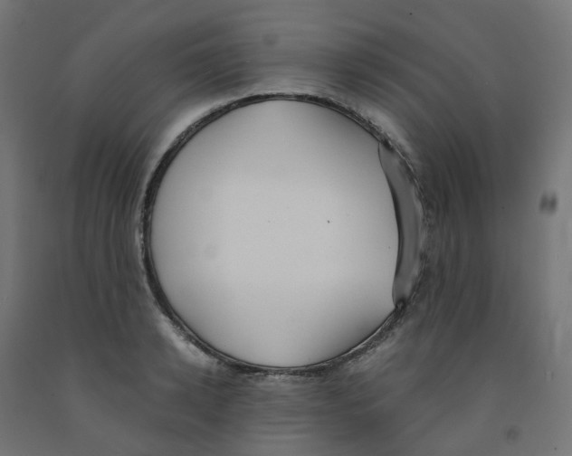 X0000091880942200710031738