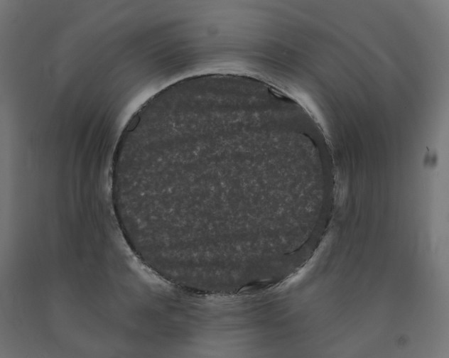 X0000091880944200710031738