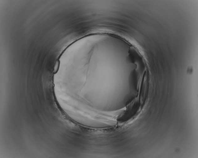 X0000091880945200710031739