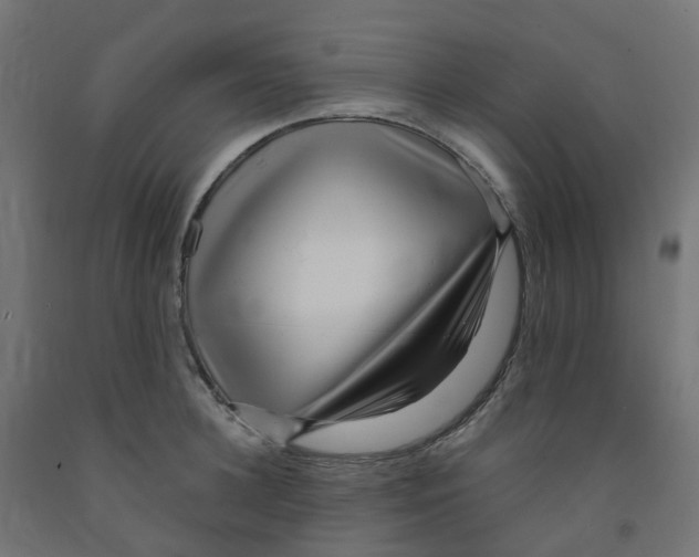 X0000091880948200710031739