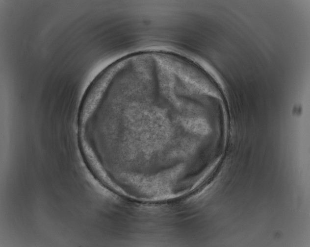 X0000091880951200710031739