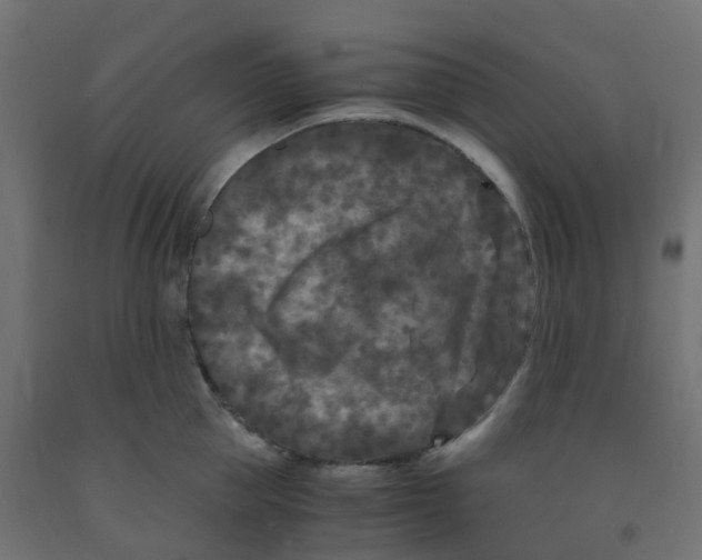 X0000091880953200710031739