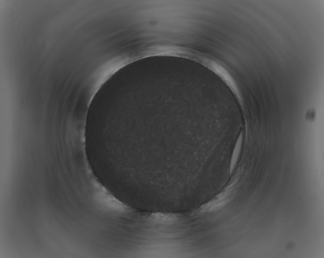 X0000091880954200710031739