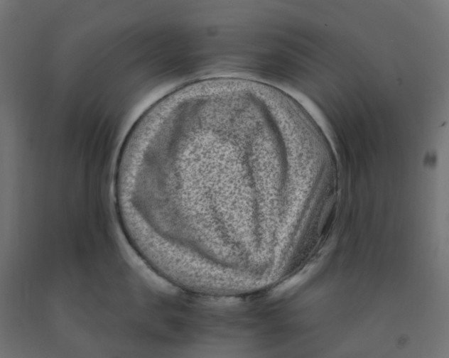 X0000091880957200710031739