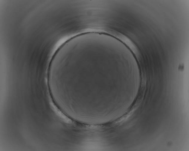 X0000091880958200710031739