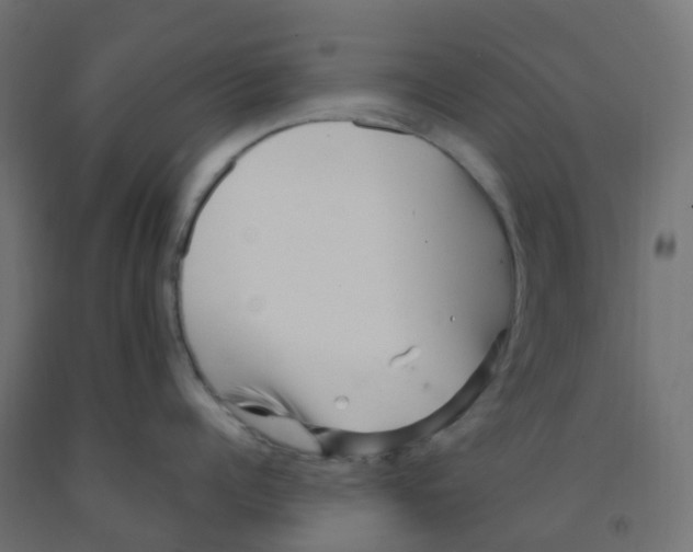 X0000091880960200710031739