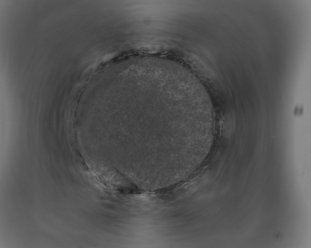 X0000091880961200710031738