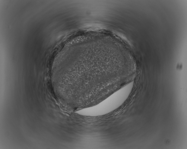 X0000091880965200710031738