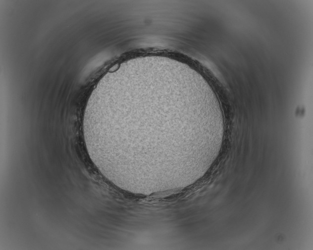 X0000091880967200710031738