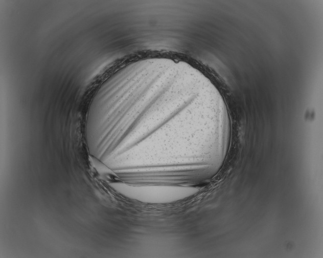 X0000091880968200710031738