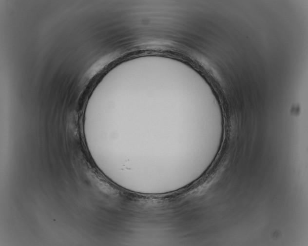 X0000091880970200710031738