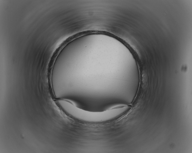 X0000091880972200710031738