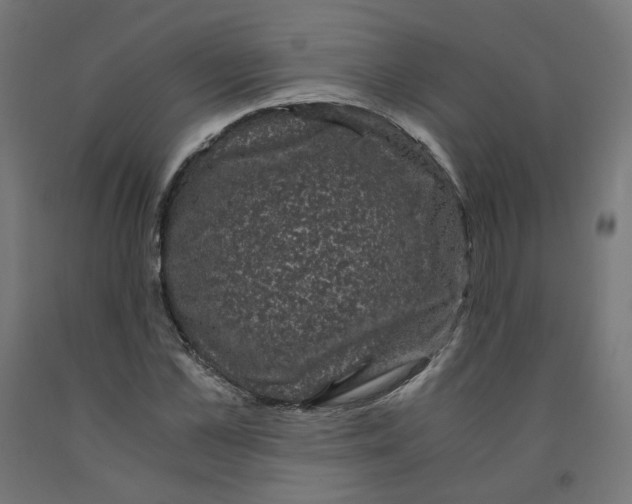 X0000091880973200710031738