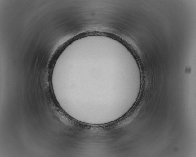 X0000091880974200710031738