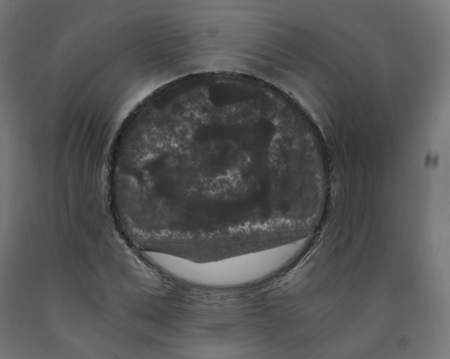 X0000091880975200710031738