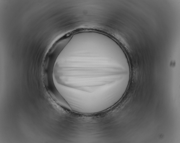 X0000091880976200710031738