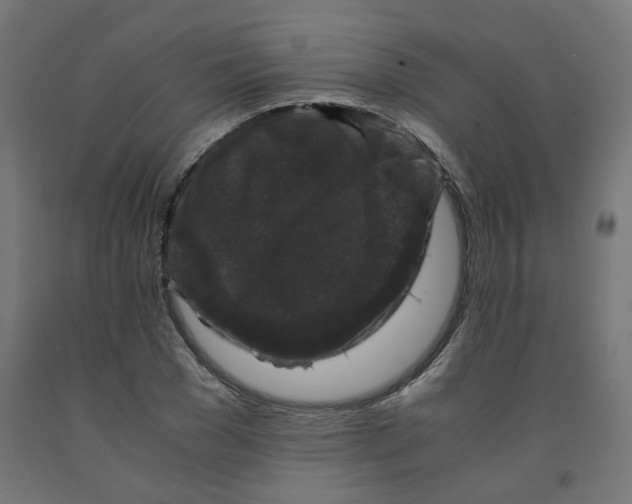 X0000091880977200710031738