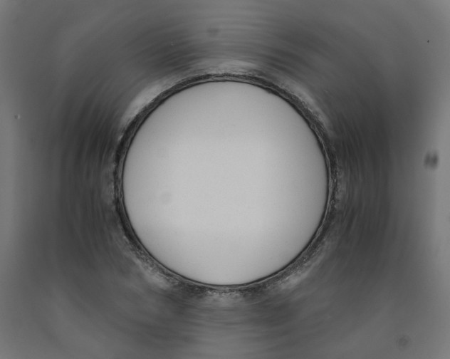 X0000091880978200710031738