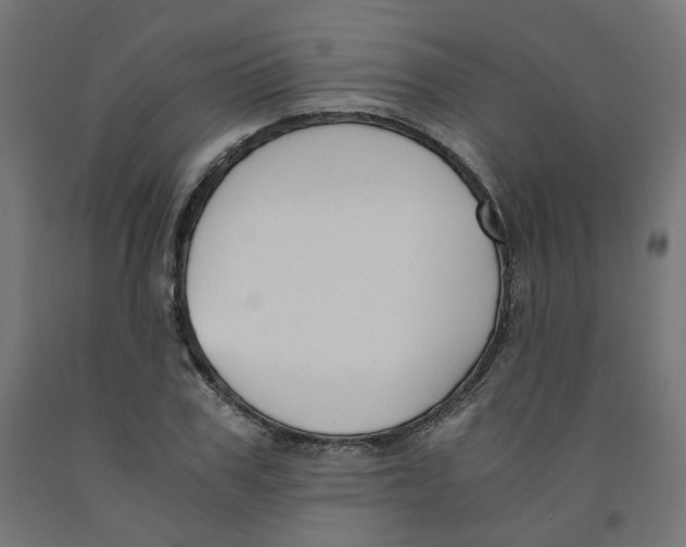 X0000091880979200710031738