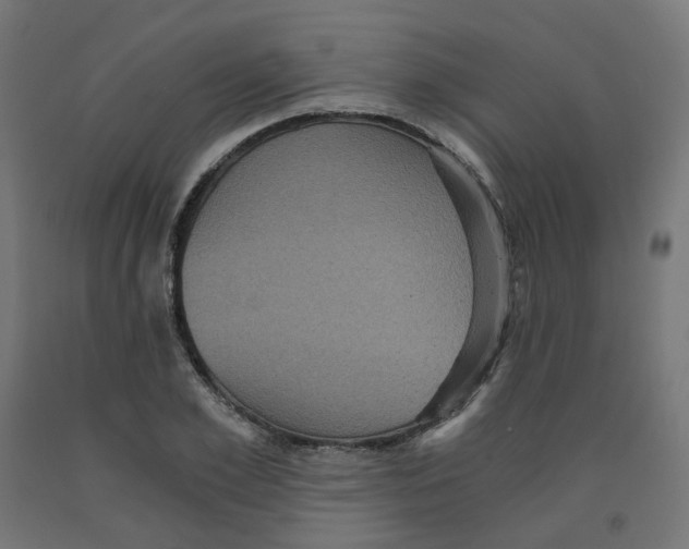 X0000091880981200710031738