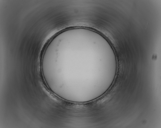 X0000091880982200710031738