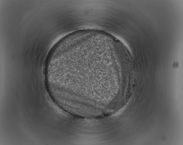 X0000091880983200710031738