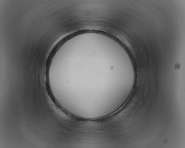 X0000091880984200710031738