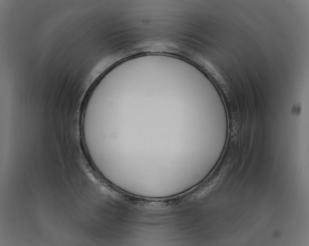 X0000091880986200710031738