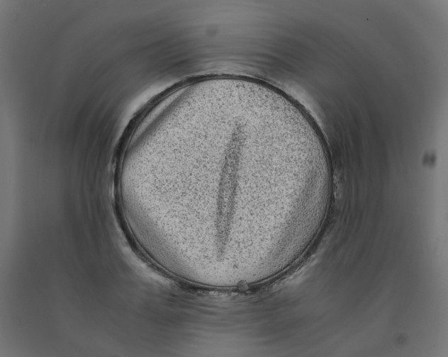 X0000091880987200710031738