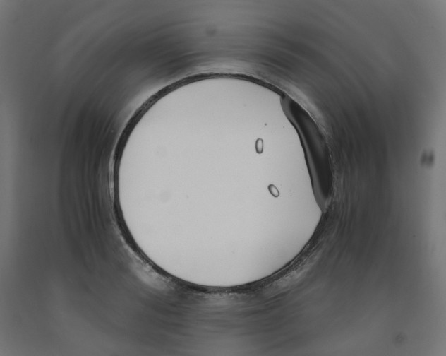 X0000091880988200710031738