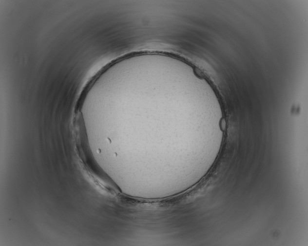 X0000091880990200710031738