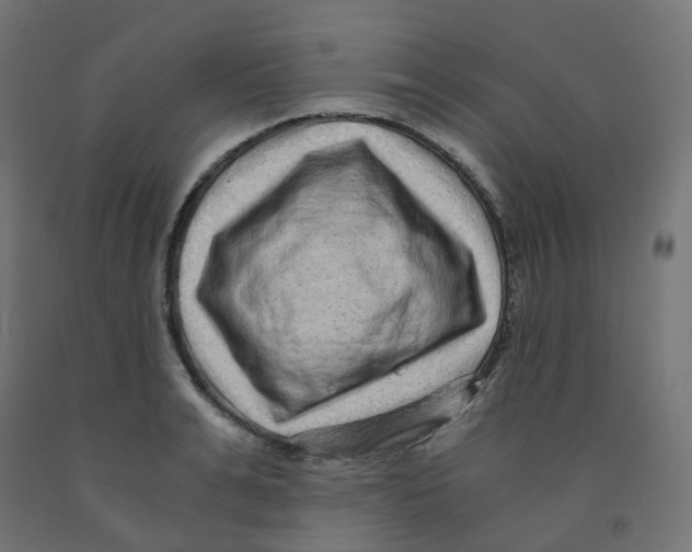 X0000091880991200710031738