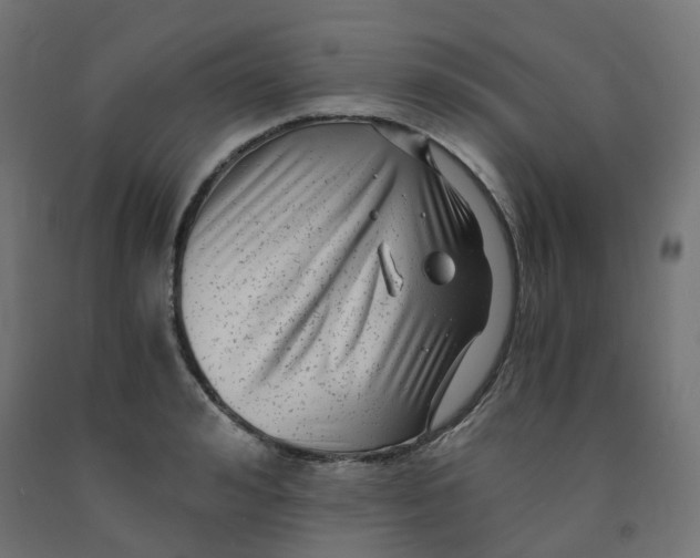 X0000091880992200710031738