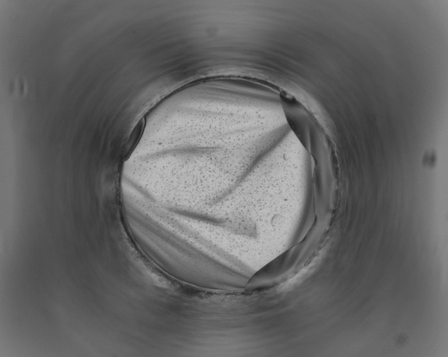 X0000091880993200710031738