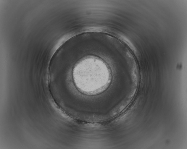 X0000091880994200710031738