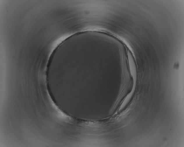 X0000091880995200710031738