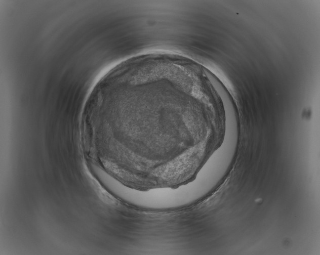 X0000091880996200710031738