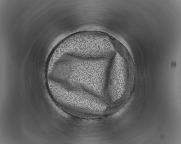 X0000091880997200710031738