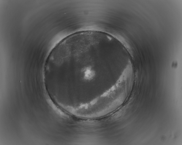 X0000091880998200710031738