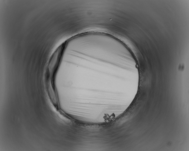 X0000091880999200710031738