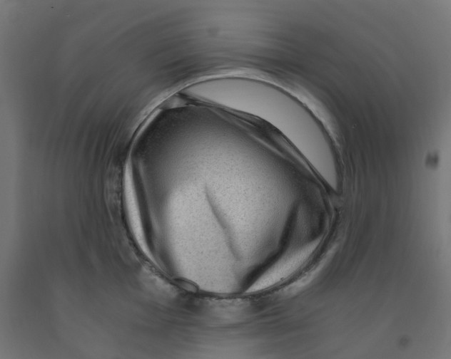 X0000091881001200710031738