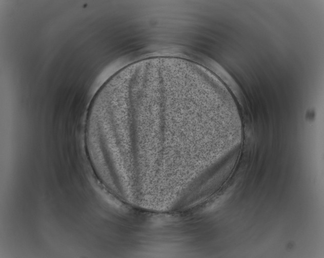 X0000091881002200710031738