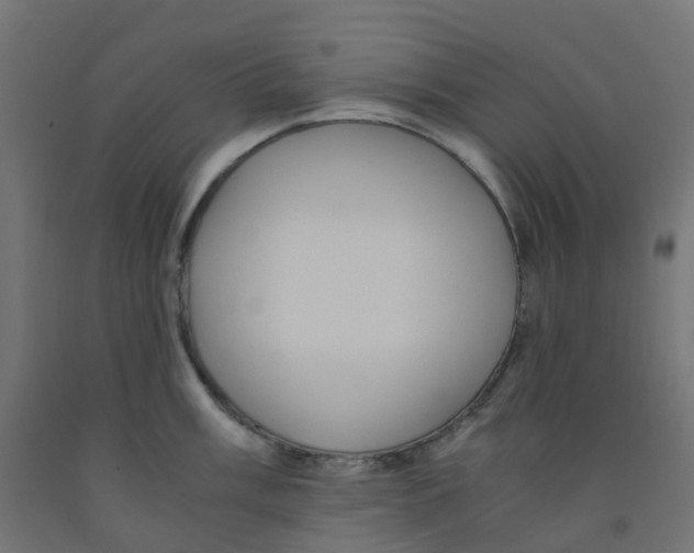 X0000091881003200710031738