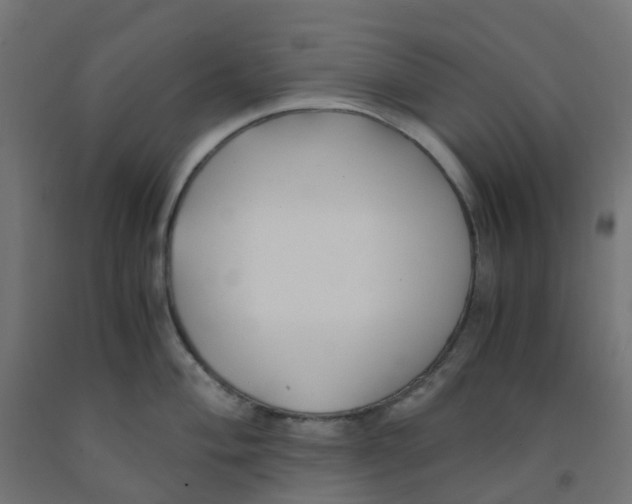 X0000091881004200710031738