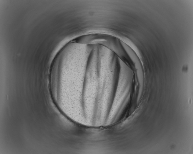 X0000091881005200710031738