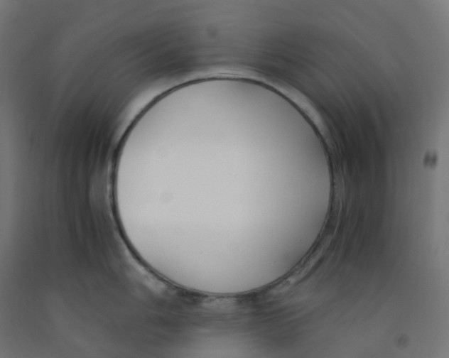 X0000091881006200710031738