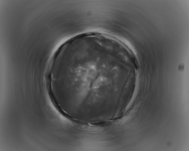 X0000091881007200710031738