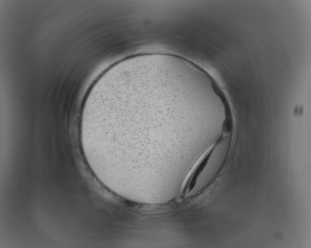 X0000091881008200710031738