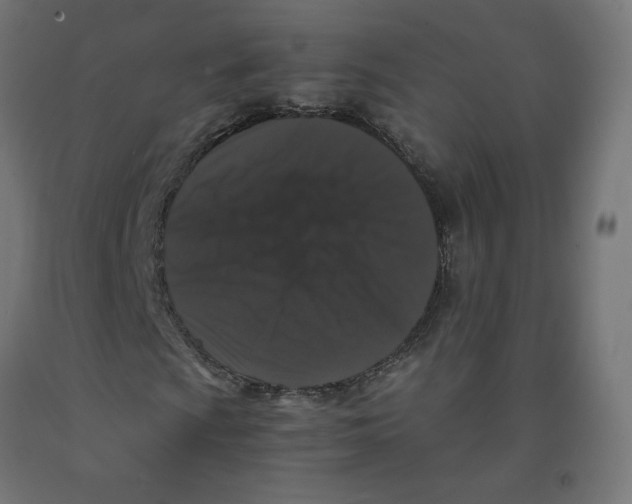 X0000091881009200710031737